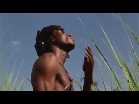 Jack Rooster feat. Konkodi x Brian Nadra x Boneye x Terrianne Iraki  - Rasta