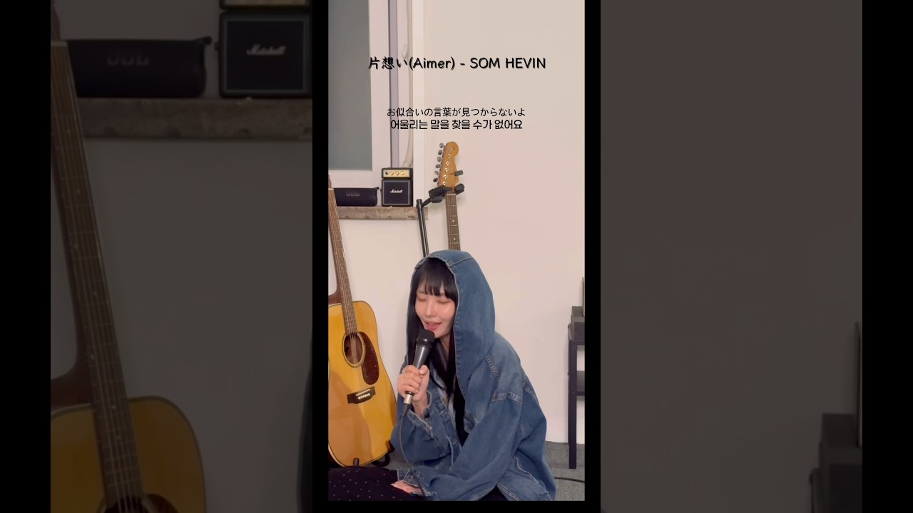片想い(Aimer) - SOMHEVIN