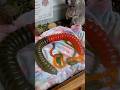 Would You Have a Giant Pet Gummy Worm?