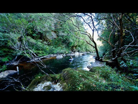 Thumbnail for video: Franklin | Trailer Thumbnail for video: Franklin | Trailer