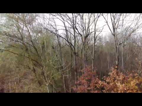 Alte Donau bei Manching und ihre Gewässer Luftaufnahme