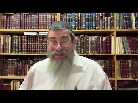 Stories Of The Holy Ruzhiner, Rabbi Yossi Paltiel - 5783