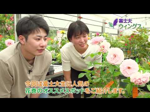 花巻がキャンパス！富士大ウィングス2020第4回