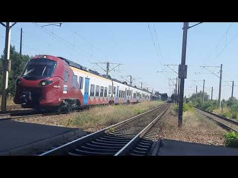 Activitate feroviara in Ploiesti Vest + Ploiesti Sud - August 2025 - multe goarne