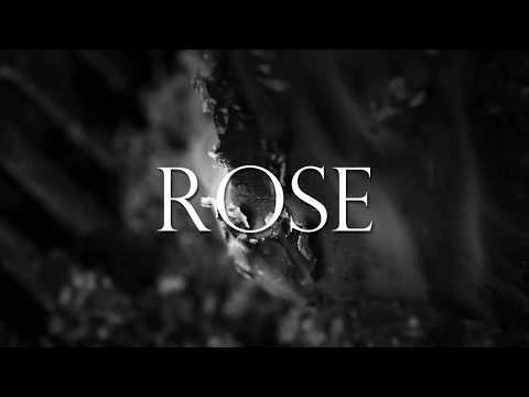 Brave After All - White Rose (Official Lyric Video)