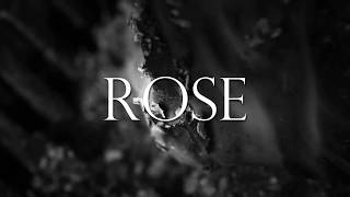 Brave After All - White Rose (Official Lyric Video)