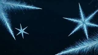 Musica Relaxante | Relax Music | Musica, Pensamento Positivo - Sabedoria e Glria | #0175#