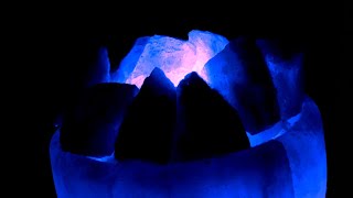 Video The Stranger 2020