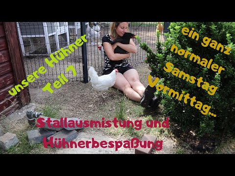 unsere Hühner Teil 7 - ein ganz normaler Samstag Vormittag - Stall ausmisten und Hühner betüdeln 🐓❤👩
