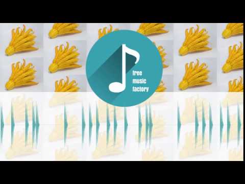 J.Lang - 909 kick  | Free Music Factory