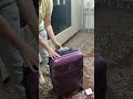 Набір валіз Bonro 2019 - 3 штуки (S, M, L), бузкові