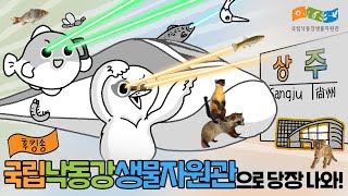 ※수능 금지곡※ 국립낙동강생물자원관 후킹송
