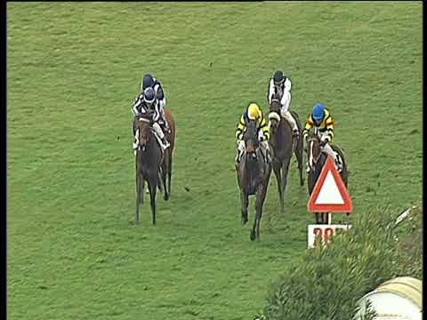 Galoppo 24/02/2018 - 2ª corsa