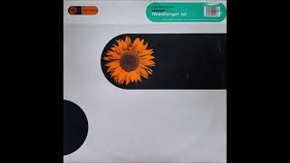 Kashmir - The Piano Thing