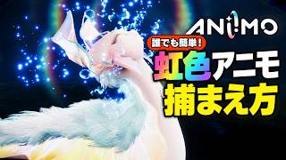 【ANIMO】虹色アニモの捕まえ方【アニモ】