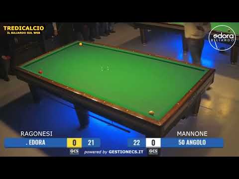 RAGONESI vs MANNONE CAMPIONATO LOMBARDO BILIARDO Cat. ECCELLENZA 2020 @TREDICALCIO
