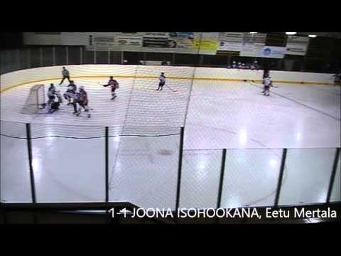 Ahmat D2 - LiKi White 28.11.2015 Maalikooste