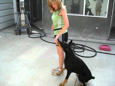 download lagu mp3 mp4 Flirt4, download lagu Flirt4 gratis, unduh video klip Flirt4