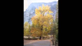 Yosemite, Jeff Beck "Black Bird", "suspension"