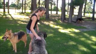 Dugan Willing to try