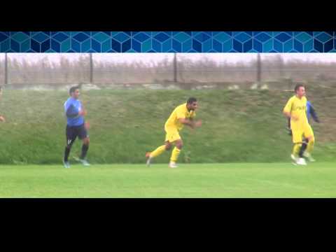 amical FC Viitorul - Delta Tulcea