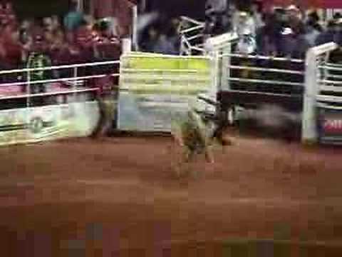 Barretos 2007 Essa é do Touro 1