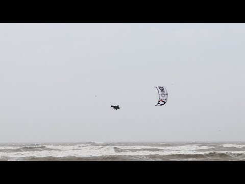 Insane! Adriano Bono 50knots on 15m lines