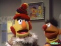 Classic Sesame Street Bert Feels Cold Better Quality