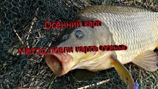 На что лучше клюет осенью карп