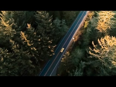 Witness21 Editor  2025 01 15