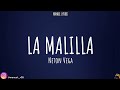 La Malilla - Neton Vega [LETRA]