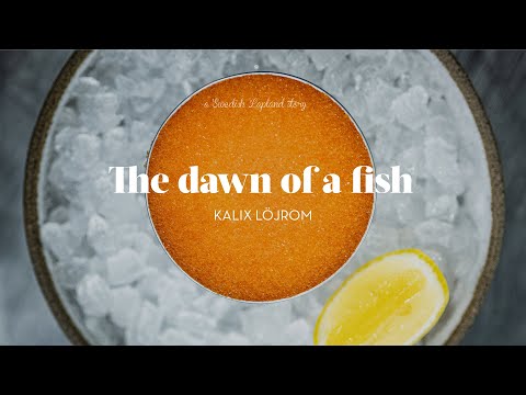 The story of Kalix löjrom