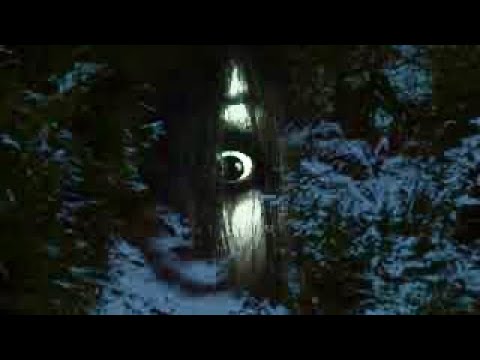 Distorganic - Death Forest [Acidcore]