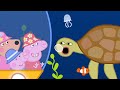 Peppa Learns At The Aquarium 🪼🫧 Peppa Full Episodes 1 HOUR