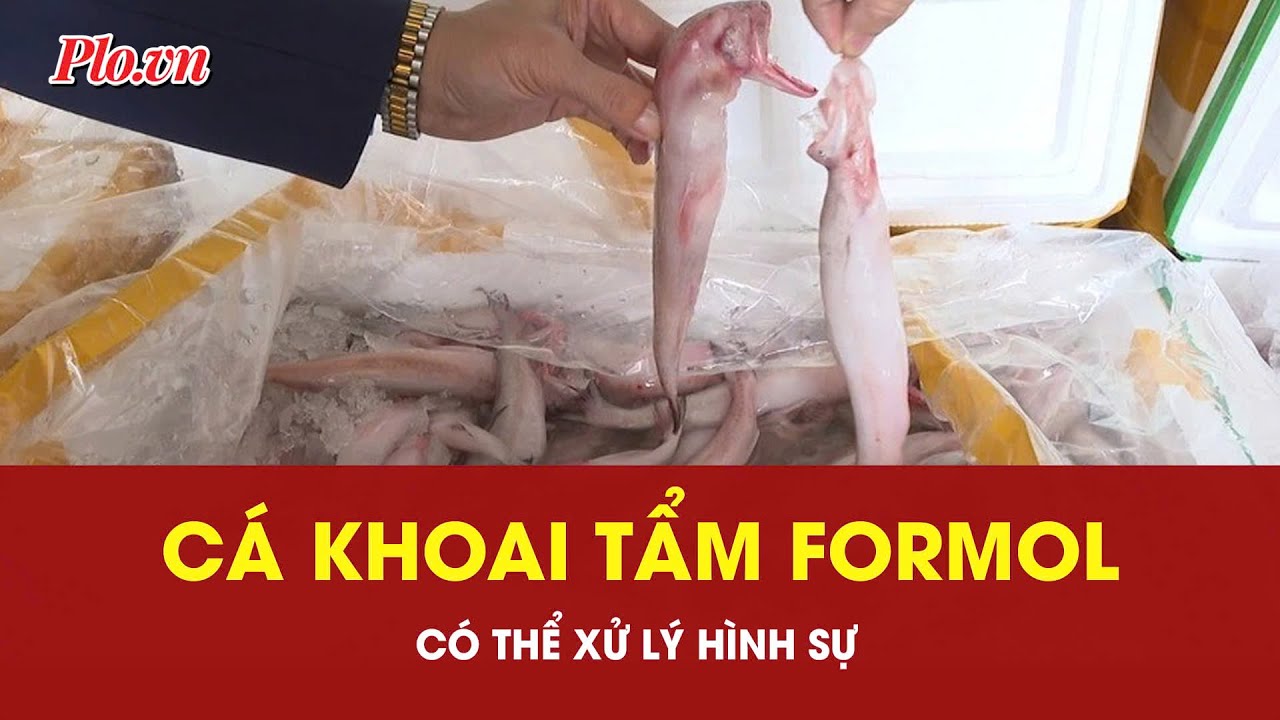 Vụ cá khoai tẩm formol: Có thể xử lý hình sự người vi phạm