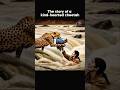 Touching Cheetah Story🫡 Shorts Ytshorts Movieclips Malizia Scary Movie Clipboxx79
