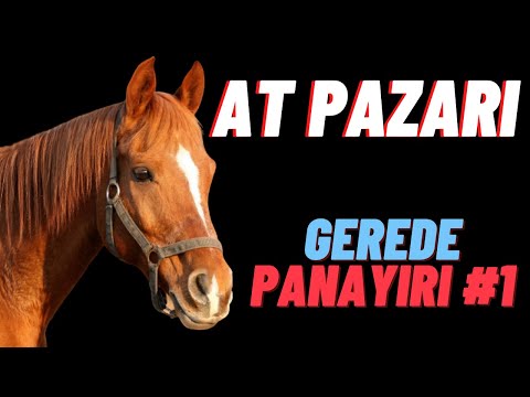 , title : 'AT PAZARI GEREDE PANAYIR BÖLÜM1'