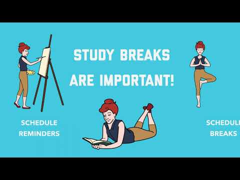 Study Buddy