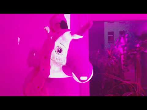 REAL GEIZT - frequenze et orbit (offiziẹll Videoclip)