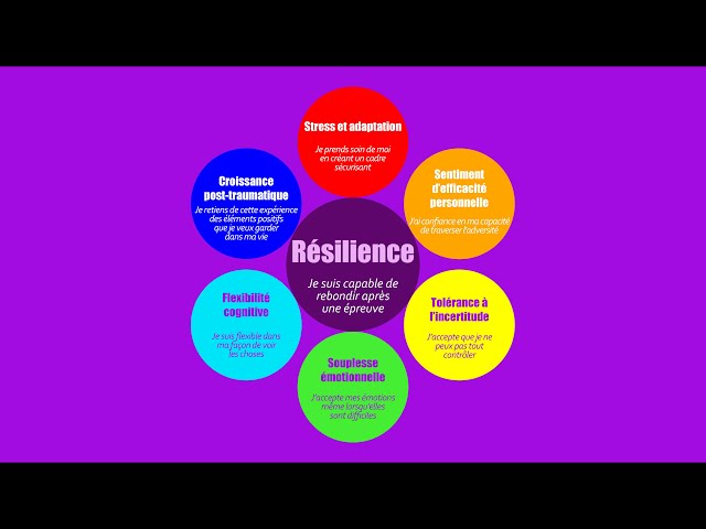 Présentation du Projet Résilience UQAM