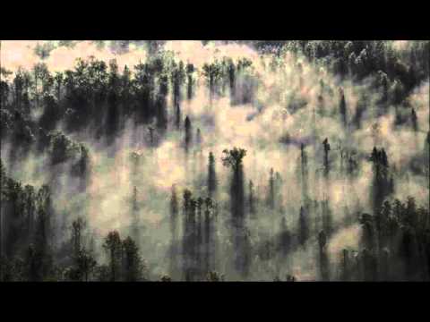 Carbon Based Lifeforms - Euphotic