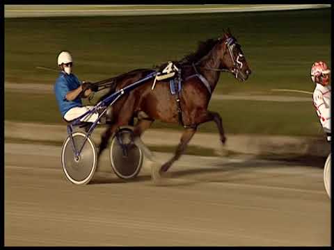 Trotto 20/06/2020 - 8ª corsa