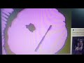Sesame Street 3695 Sand Y Y