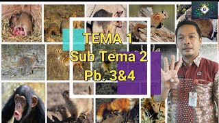 Kelas 6 Tema 1 Subtema 2 Pembelajaran 3 dan 4