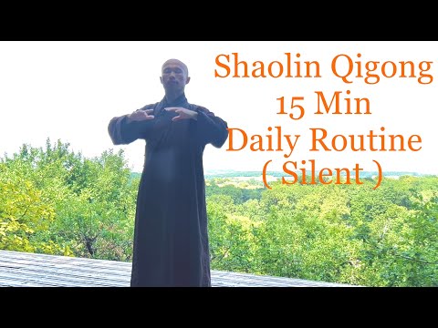Shaolin Qigong 15 Minute Daily Routine ( Silent )