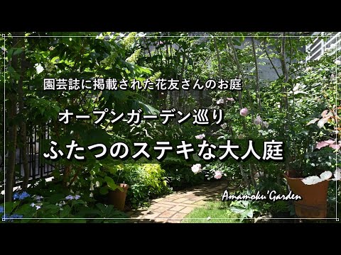 家の植生の若い木の前の庭のデザインのアイデア
