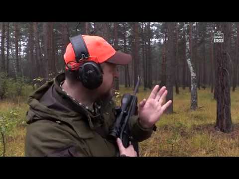 Darz Bór odc  210   Wielkie Łowy w Puszczy Żagańskiej 2016