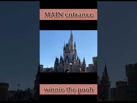 main entrance music【winnie the pooh】