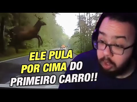 Ludgero reacts to the failures of the cow going to the swamp - Cuts from Ludgero