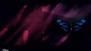 My Dying Bride - The Dark Caress